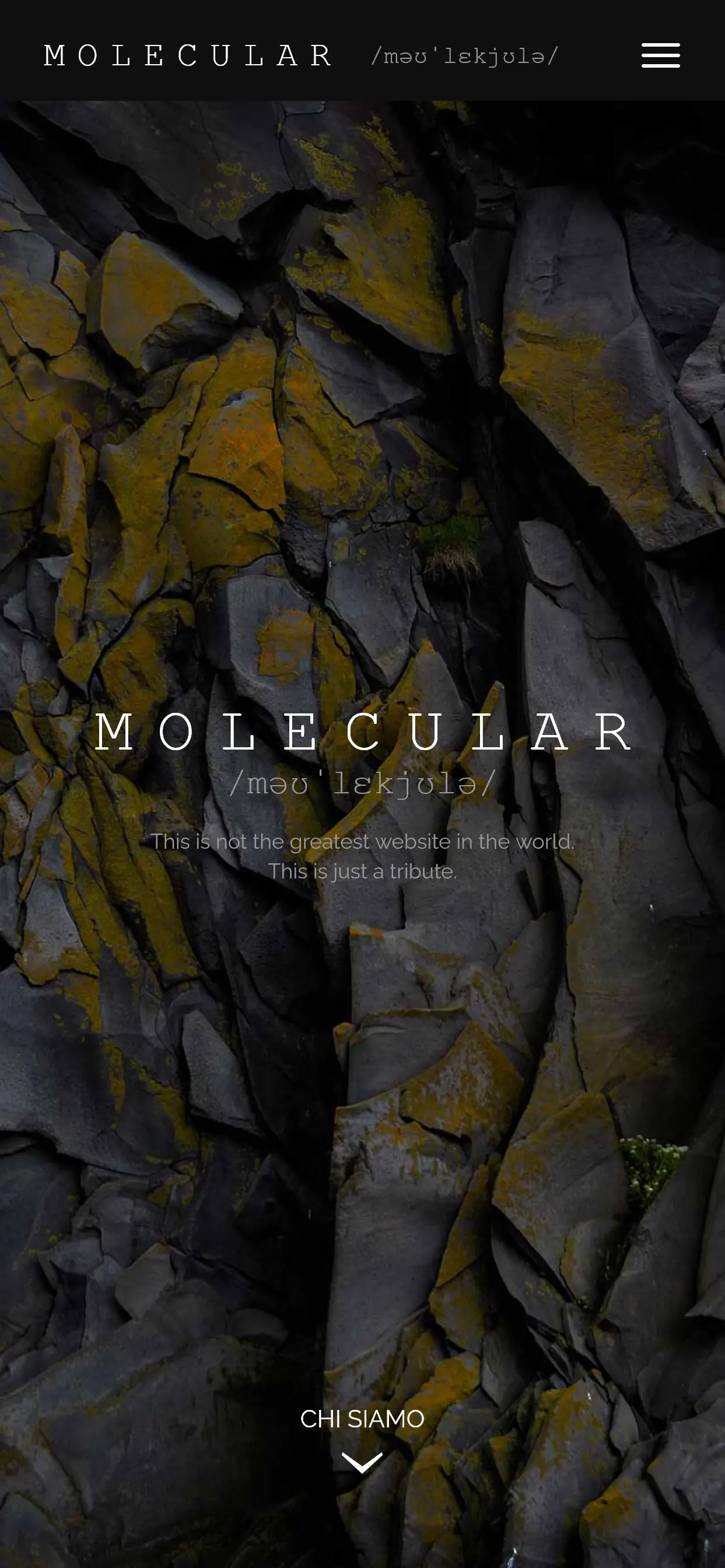 Mobile version website home page