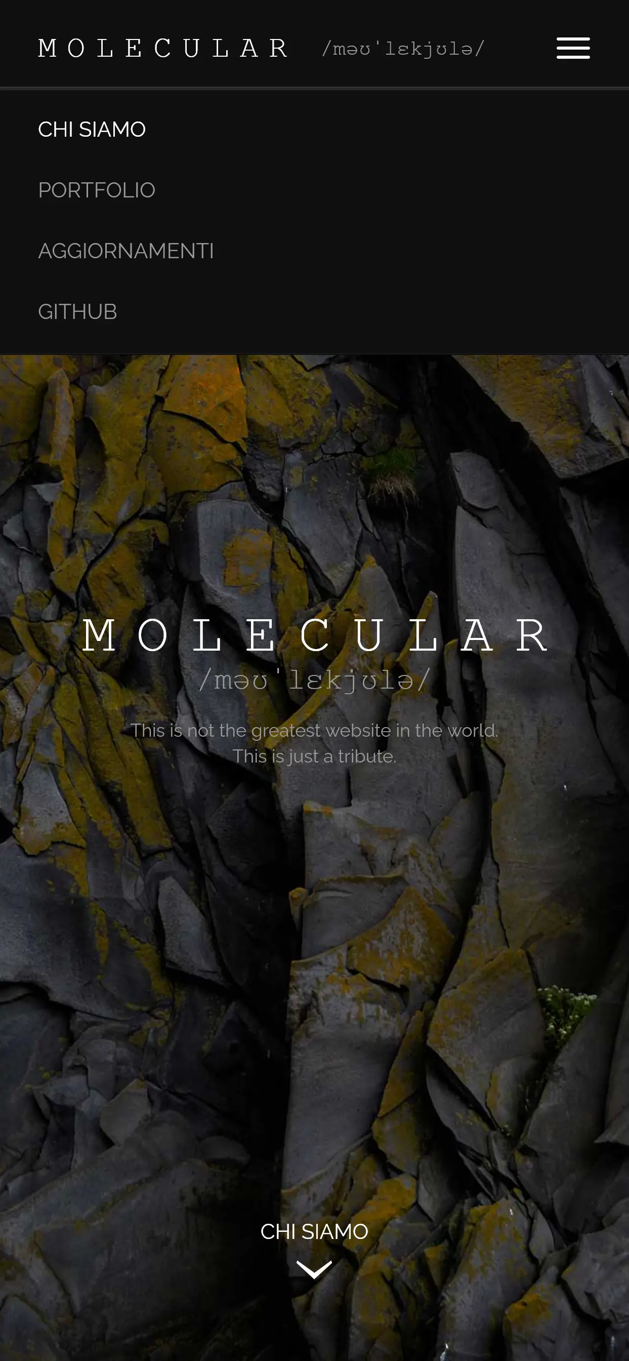 Mobile version website navigation menu